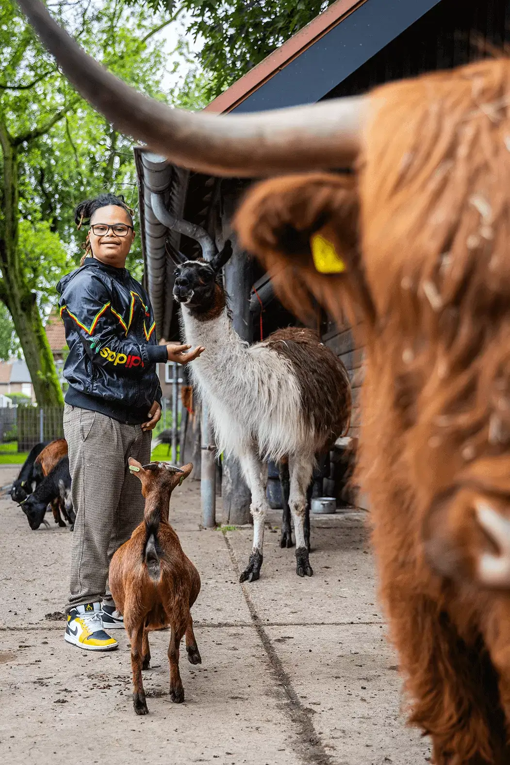 De rechterhelft van de foto is gevuld met het halve gezicht van een Schotse hooglander. Het rund heeft lang roodbruin haar en hoorns. Links staat een tiener met het syndroom van Down op de achtergrond. Hij lacht naar de camera en houdt zijn hand uit met voer voor de lama naast hem. De jonge man heeft een donkere huid en zwart haar. Hij draagt een zwarte bril, een sportief zwart jasje met een gele streep, en zwart-gele sneakers. Voor hem staat een geit met bruine vacht.